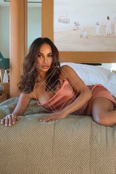 Foto 8 di Ella Ricci transescort Bologna