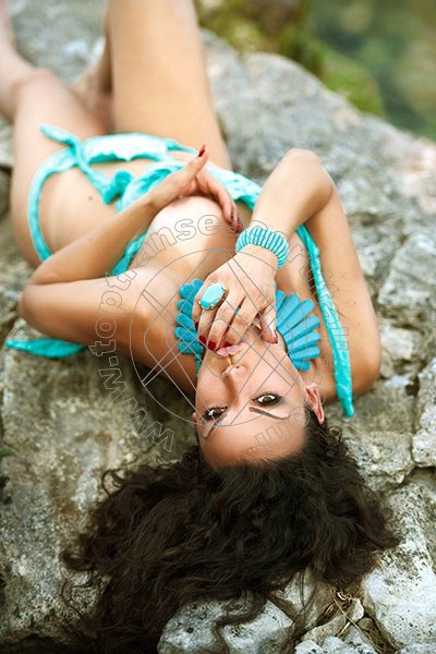 Foto 17 di Niccole Gres transescort Curno