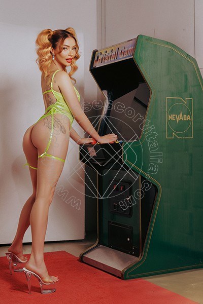 Foto 6 di Vanessa Hilton transescort Modena