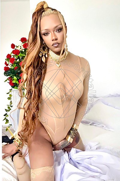 Foto 16 di Bruna Diaz XL transescort Porto Sant'elpidio