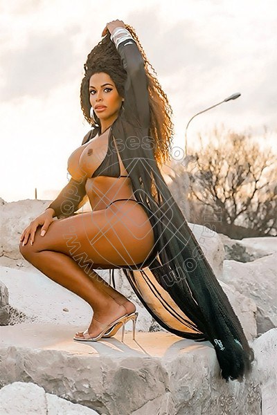 Foto 10 di Sandra Ravach transescort Reggio Emilia