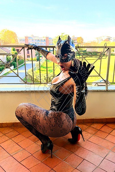 Foto 21 di Thayys Castro transescort Verona