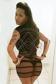 Foto di Drielly Riuston Pornostar