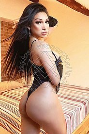 Foto di Angel Bunny