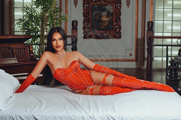 Foto 9 di Sammi Asiatica transescort Milano
