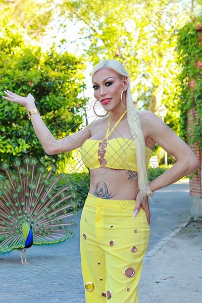 Foto 12 di Nina la 12 divina transescort Ibiza
