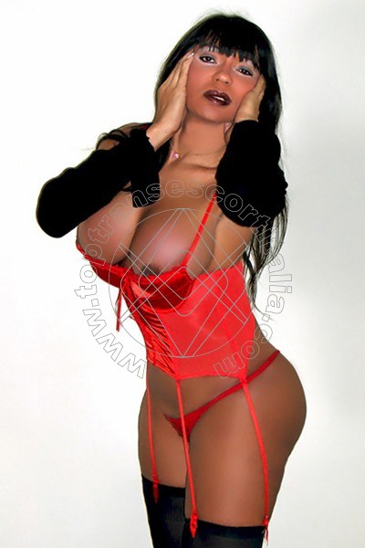 Foto 3 di Sheyla Kiss transescort Torino