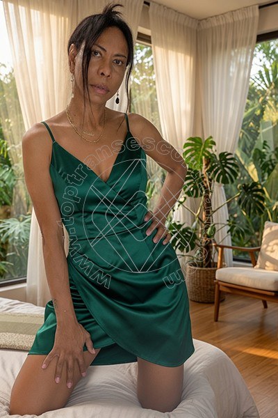 Foto 5 di Greta transescort Roma