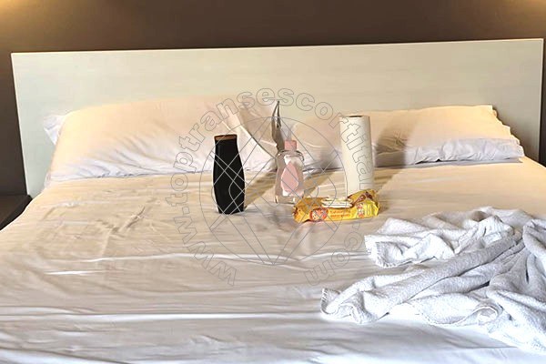 Foto 9 di Sophie Massaggiatrice transescort Bologna