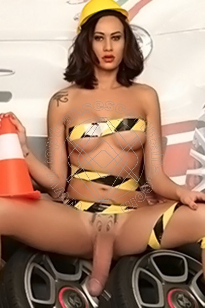 Foto hot 19 di Miranda Pinocchio Pornostar transescort Genova