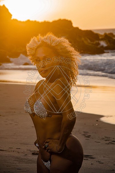 Foto 12 di Amber transescort Milano