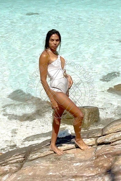Foto 19 di Roberta Maliziosa transescort Olbia