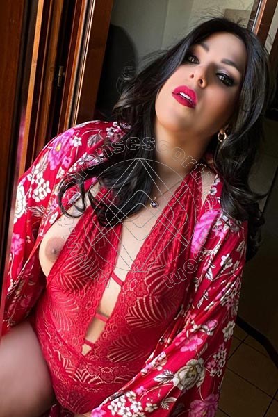 Foto 3 di Bruna Kiss transescort Foggia