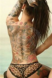 Foto di Tattoomodel TS Shirin transescort