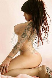 Foto di Tattoomodel TS Shirin transescort