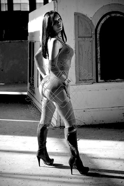 Foto 66 di Ts Veronica transescort Winterthur