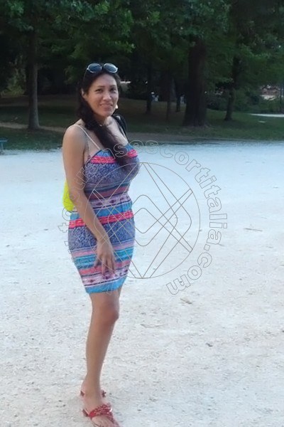 Foto 57 di Elena Gala transescort Milano