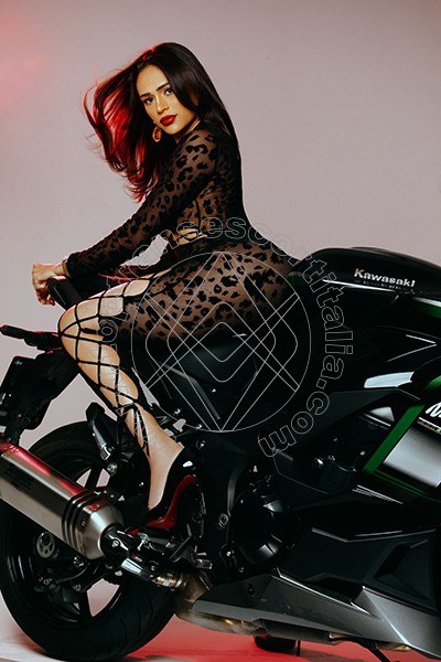 Foto 3 di Larissa Pornostar transescort Bologna