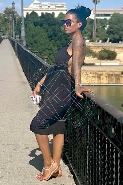 Foto 21 di Vania Cubana transescort Cremona