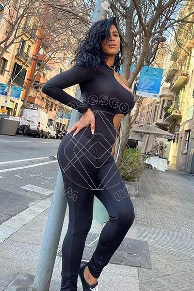 Foto 20 di Vania Cubana transescort Cremona