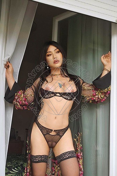 Foto 14 di Sakura Asiatica transescort Roma