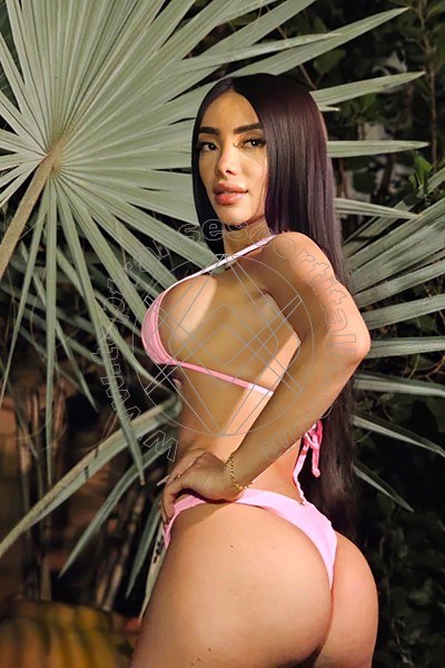 Foto 64 di Pamelita transescort Roma