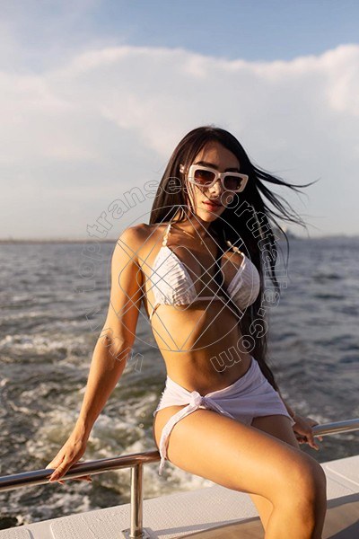 Foto 46 di Pamelita transescort Roma