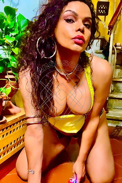 Foto 15 di Deborah Volpe transescort Firenze