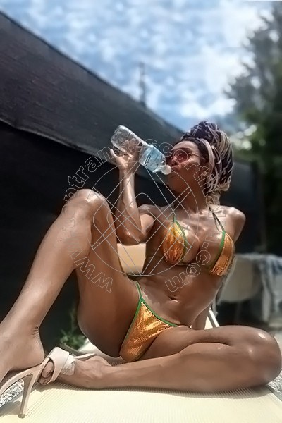 Foto 17 di Wanessa Ambrosio transescort Frosinone