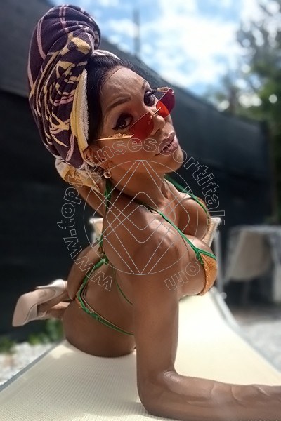 Foto 16 di Wanessa Ambrosio transescort Frosinone