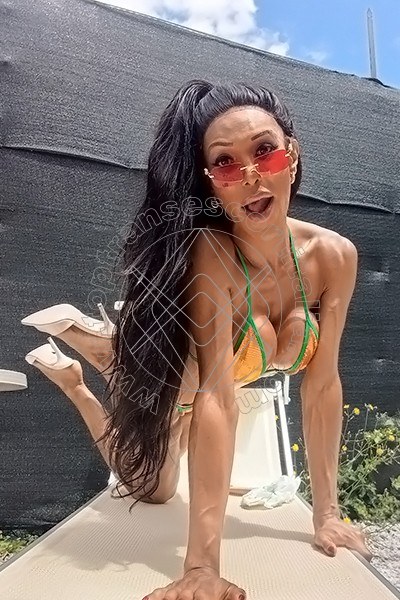 Foto 3 di Wanessa Armani transescort Massa
