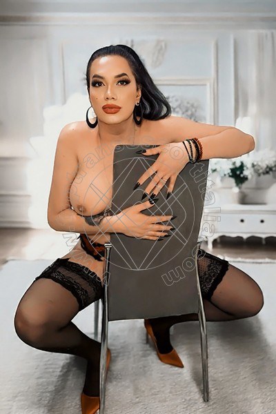 Foto di Sexy Sophie transescort Toulouse