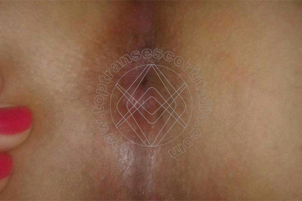 Foto hot 3 di Linda transescort Grosseto