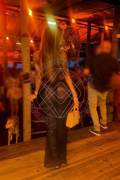 Foto 117 di Heloisa Tx transescort Padova