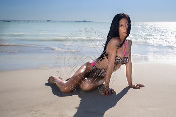 Foto 31 di Melissa Lima transescort Livorno