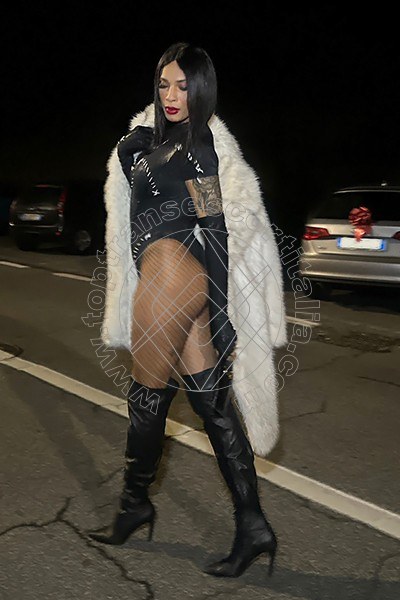 Foto 27 di Arianna Ferrari Pornostar transescort Roma