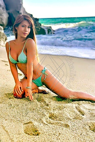Foto 51 di Liisa Asiatica Ladyboy transescort Genova