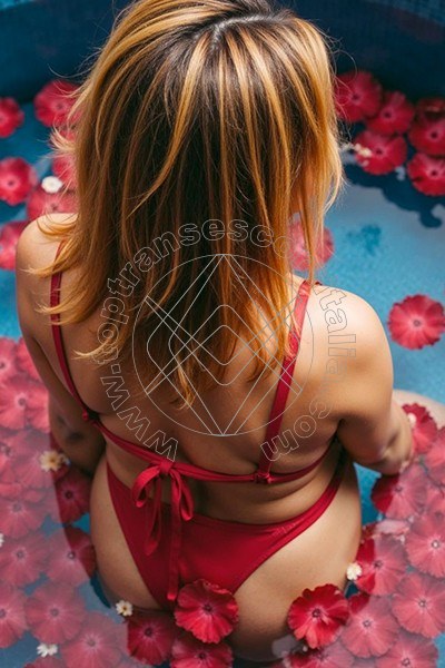 Foto 78 di Alessia Transex transescort Roma
