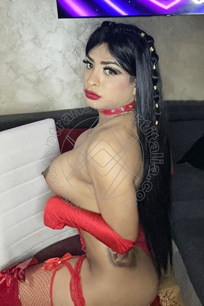 Foto 11 di Gisselle transescort Madrid