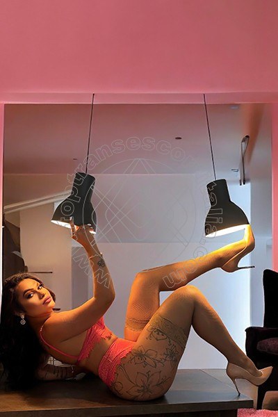 Foto 8 di Gabryella Dantas transescort Bologna