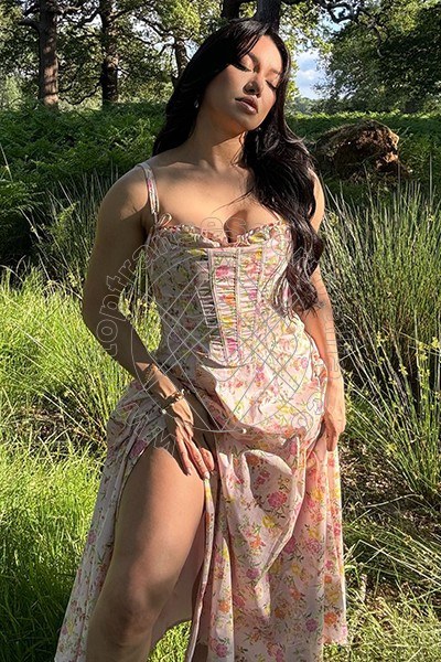 Foto 16 di Yumi transescort Milano
