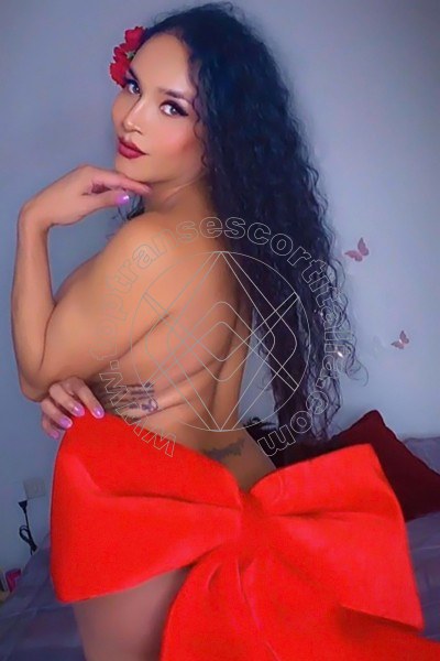 Foto 14 di Mindy transescort Pistoia