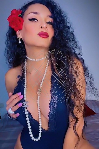 Foto 10 di Mindy transescort Pistoia