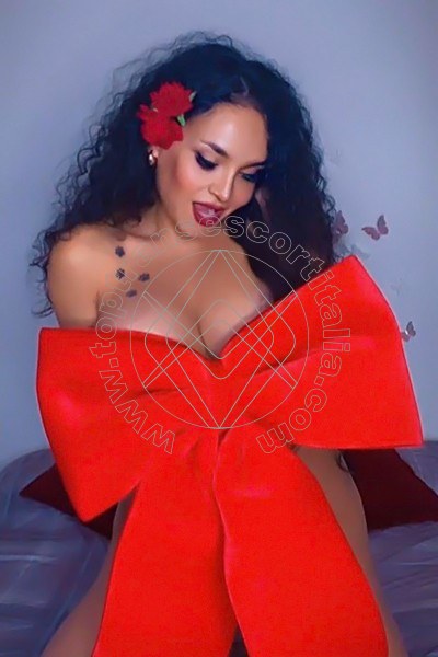 Foto 13 di Mindy transescort Pistoia