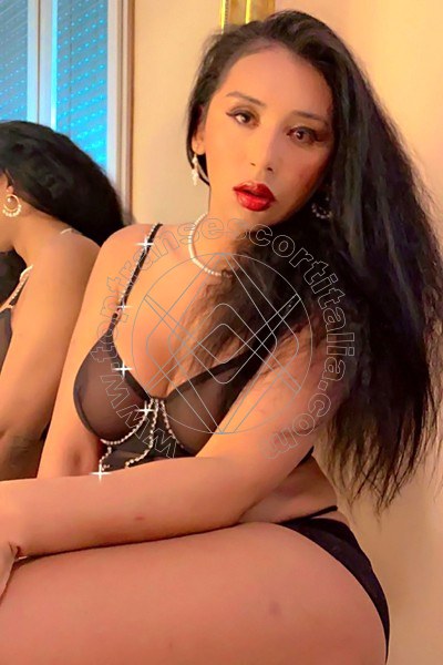 Foto 53 di Kamilly Araujo transescort Alessandria