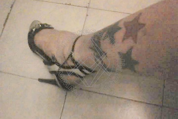 Foto 60 di Suzana Pantera transescort Bologna
