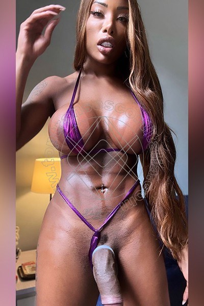Foto hot 35 di Campbell transescort Torino