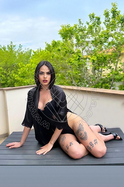 Foto 108 di Nick Miller transescort Verona