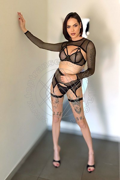 Foto 56 di Nick Miller transescort Verona