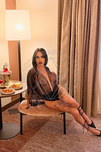 Foto 43 di Nick Miller transescort Verona